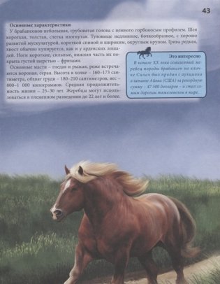 Энциклопедия. Лошади фото книги 6
