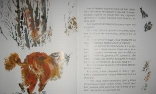 Лесные разведчики фото книги 6