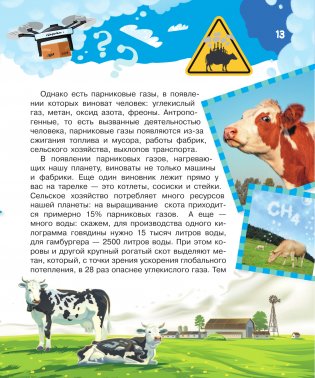 Что, где, когда и почему. Самые интересные вопросы и ответы о будущем фото книги 14