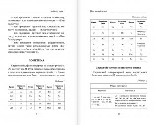 Киргизский язык без репетитора. Самоучитель киргизского языка фото книги 5