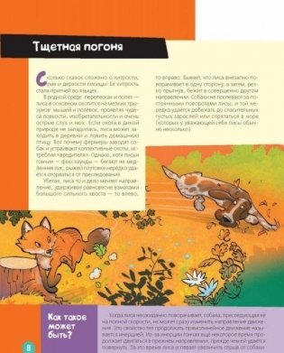 Лучшие научные эксперименты для детей. Физика, химия, биология фото книги 8