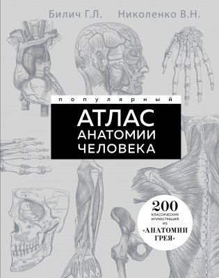 Популярный атлас анатомии человека. 200 классических иллюстраций из «Анатомии Грея» фото книги
