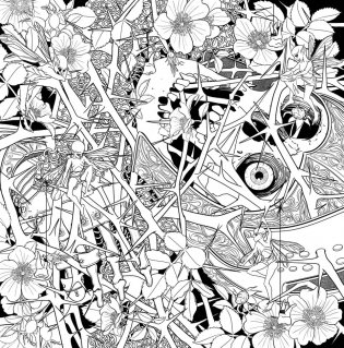 Mythogoria: Fairy Nightmares фото книги 2