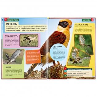 Энциклопедия. Хищные птицы фото книги 4