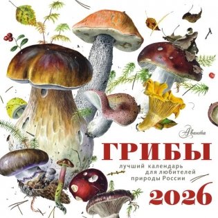 Календарь Грибы 2026 год фото книги