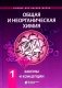 Общая и неорганическая химия. В 2 т. Т.1: Законы и концепции. 3-е изд фото книги маленькое 2