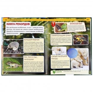 Детеныши животных фото книги 2