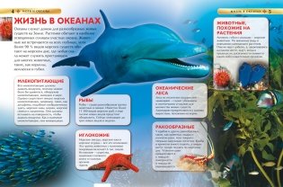 Моря и океаны. Детская энциклопедия фото книги 5