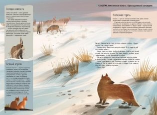 Степи, прерии, пампасы. Один год жизни исчезающего биома фото книги 3