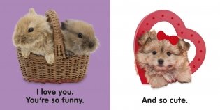 Baby Touch & Feel: I Love You. Board book фото книги 3