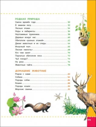 Энциклопедия будущих отличников фото книги 4