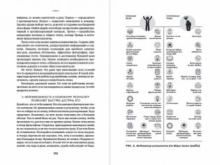 Как выжить, если тебе 20. Руководство по успешному старту карьеры и самостоятельной жизни фото книги 4