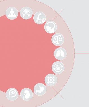 Анатомия и физиология йоги: совершенствование практики ключевых асан фото книги 6