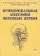 Функциональная анатомия черепных нервов. Учебное пособие фото книги маленькое 2