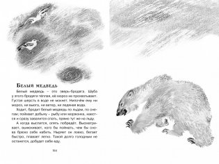 Друзья. Рассказы фото книги 8