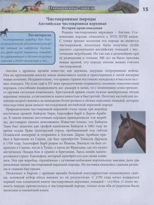 Энциклопедия. Лошади фото книги 4