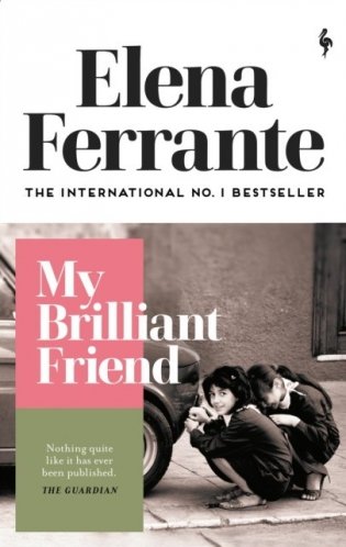 My Brilliant Friend фото книги