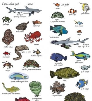 Океаны. Найди и покажи фото книги 5