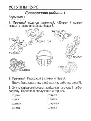Беларуская мова. 2 клас. Праверачныя i кантрольныя работы фото книги 2