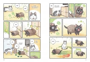 Сью и Тайчик. Книга 6 фото книги 3
