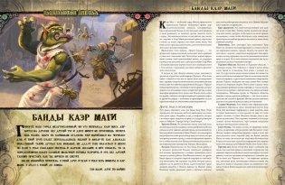 Pathfinder. Настольная ролевая игра. Расколотая звезда. Приют безумцев фото книги 5