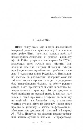 Скарбы князёў Радзiвiлаў, альбо Обер-аўдытарская праверка ў Нясвiжы. Гістарычны раман фото книги 3