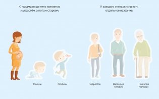 Тело человека фото книги 2