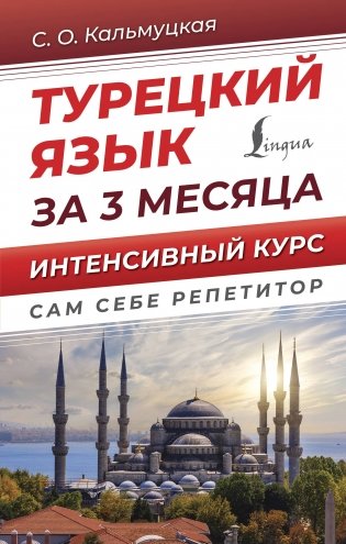 Турецкий язык за 3 месяца. Интенсивный курс фото книги