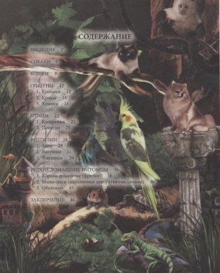 Энциклопедия. Домашние питомцы фото книги 2