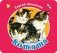 Котята фото книги маленькое 2