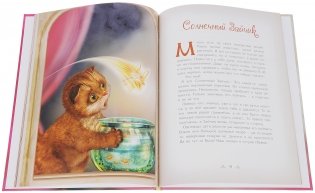 Как поймать солнечного зайчика фото книги 2