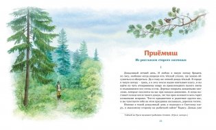 Серая шейка. Рассказы фото книги 6