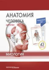 Анатомия человека. Миология (43 карточки) фото книги