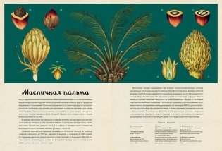 Ботаникум фото книги 4