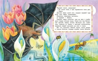 Лесные истории. Сказки и рассказы для детей (ил. М. Белоусовой) фото книги 5