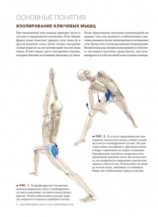 Анатомия виньяса-флоу и асан, выполняемых стоя. Руководство фото книги 10