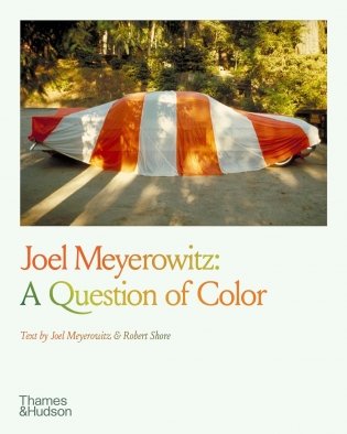 Joel Meyerowitz: A Question of Colour фото книги