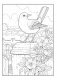 Creative Haven Glorious Songbirds Coloring Book фото книги маленькое 9