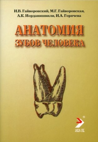 Анатомия зубов человека. Учебное пособие фото книги