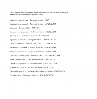 Флоросфера. Умиротворение фото книги 21