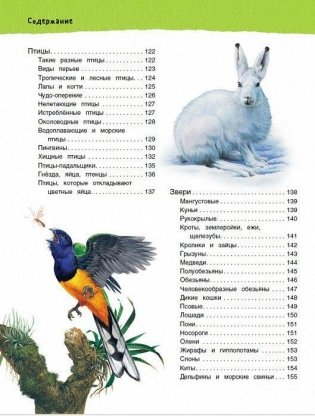 Большая иллюстрированная энциклопедия фото книги 5