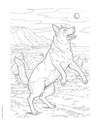 Creative Haven the Dog Lovers' Coloring Book фото книги 9