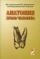 Анатомия зубов человека. Учебное пособие фото книги маленькое 2