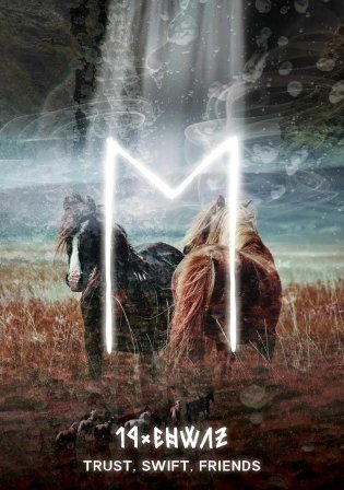 Runic Oracle фото книги 3