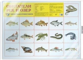 Плакат А2 "Обитатели рек и озер" (в пакете) фото книги