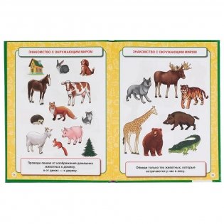 Большая книга на развитие интеллекта малыша фото книги 4