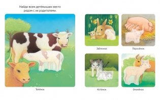 Детёныши животных фото книги 2