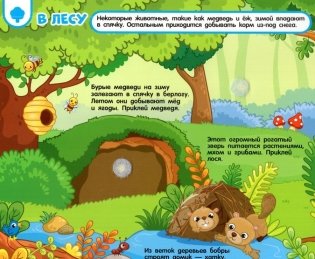 Кто где живет, кто что ест. Книга с липучками фото книги 2