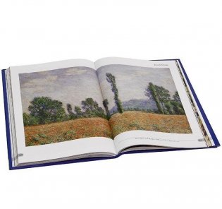 Музей изящных искусств. Бостон (в футляре) фото книги 6