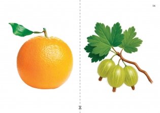 Путешествие в мир правильной речи. Учебное наглядное пособие. ГРИФ фото книги 9